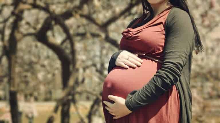 Pregnancy – Getting to Know Your Placenta